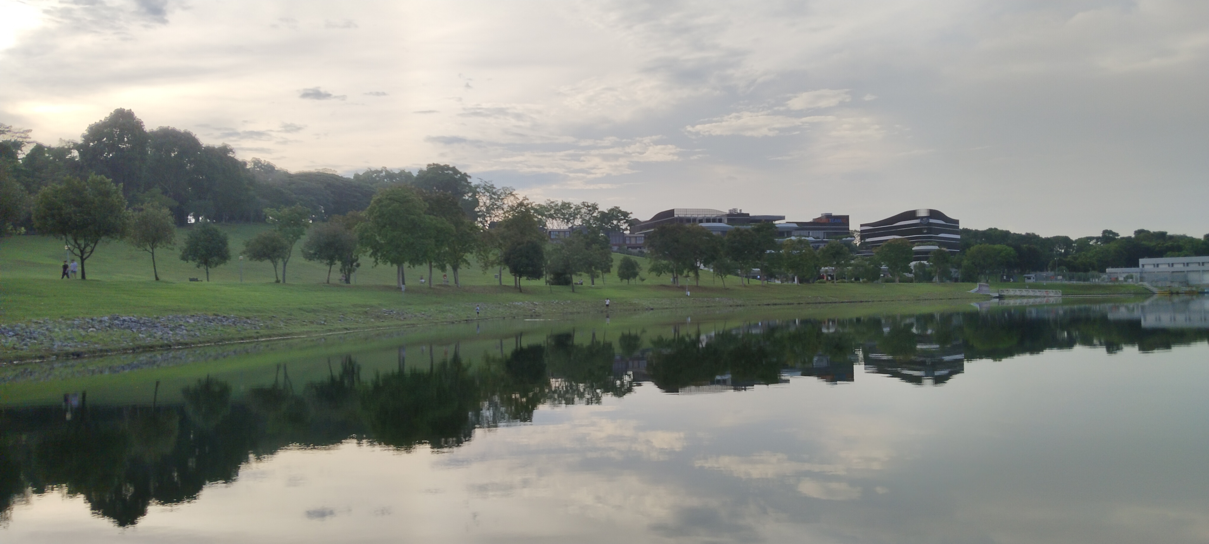 Picture of a Park